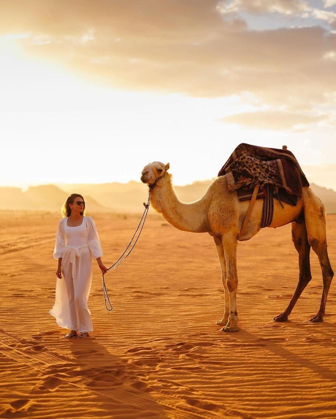 Tamim Luxury Wadi Rum Camp Extérieur photo